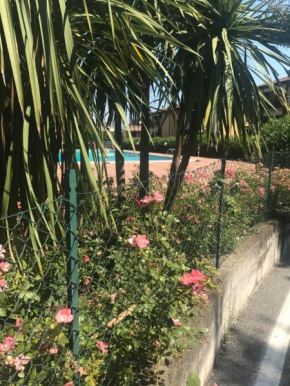 antonellagardalake Desenzano Del Garda